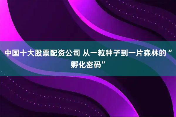 中国十大股票配资公司 从一粒种子到一片森林的“孵化密码”